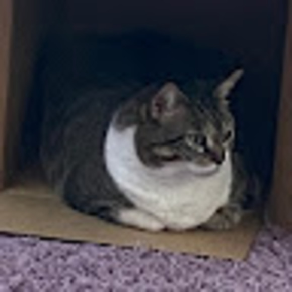 katelinhaubert